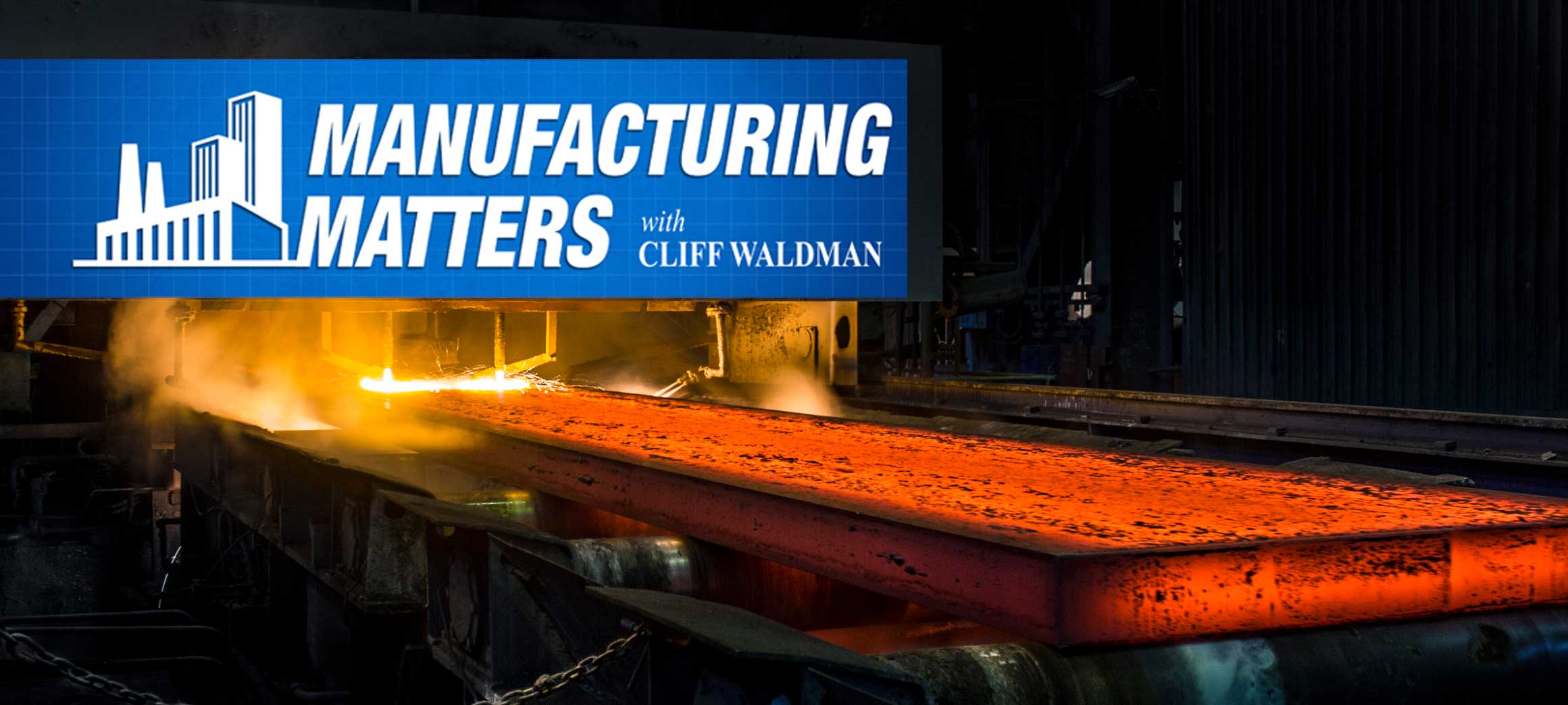Chief Economist of the American Iron and Steel Institute Looks at the U